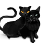 Admin kullanıcısının profil fotoğrafı